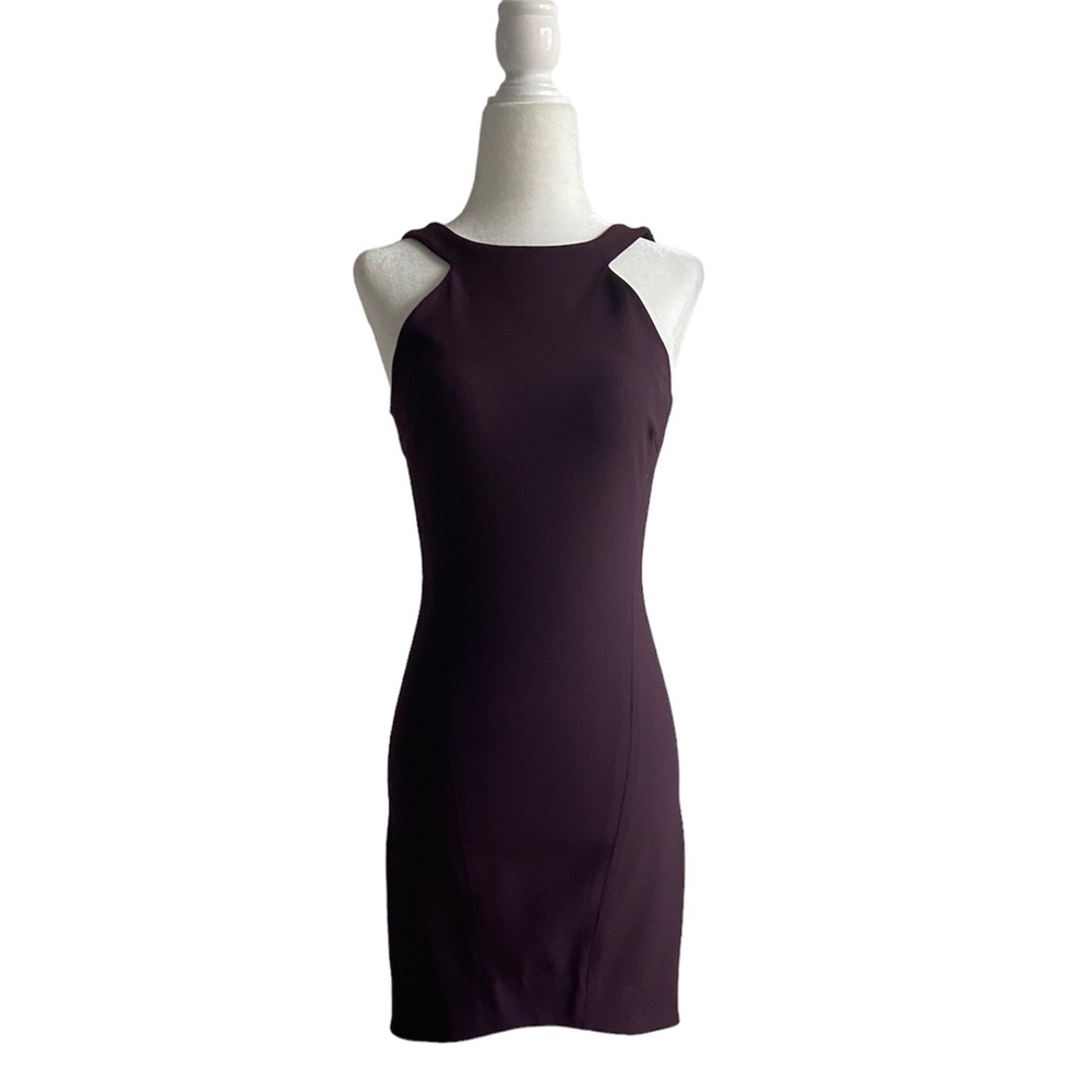 Elizabeth and James Bodycon Sheath Dress